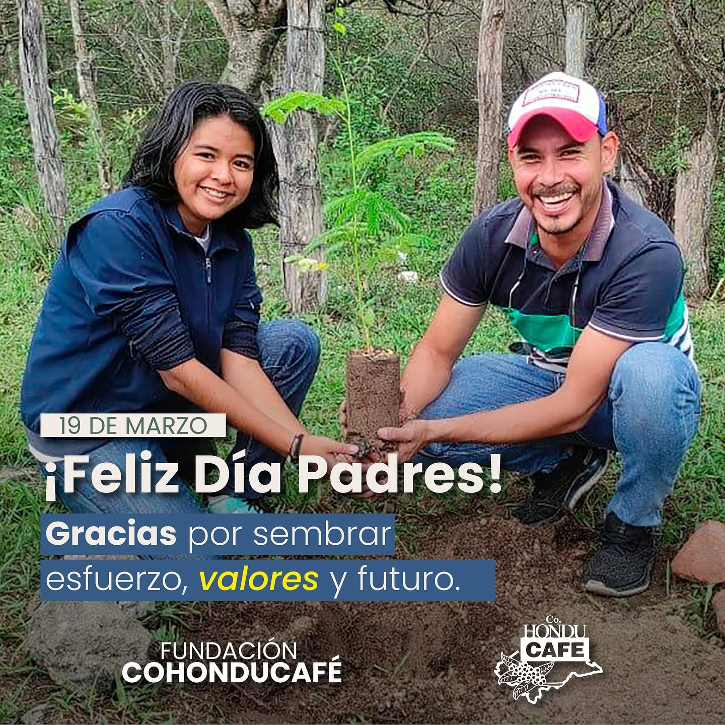 Conservación forestal