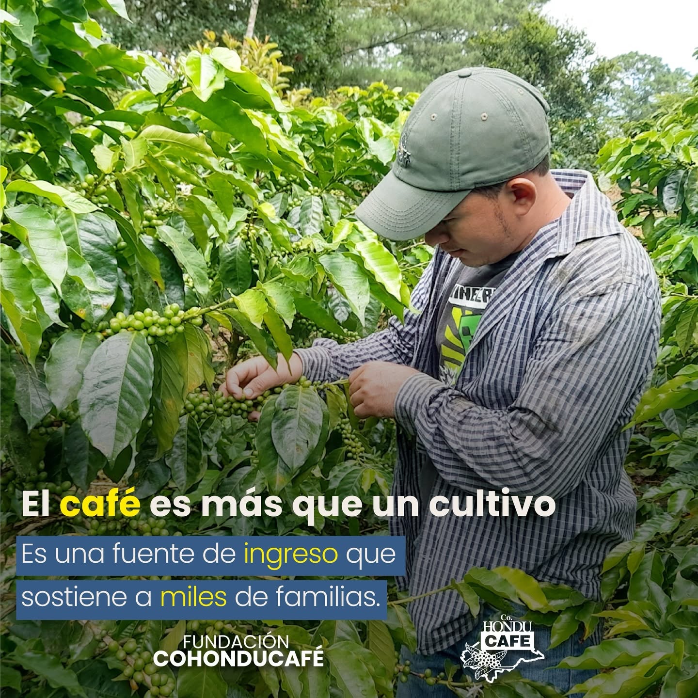 Incentivos económicos