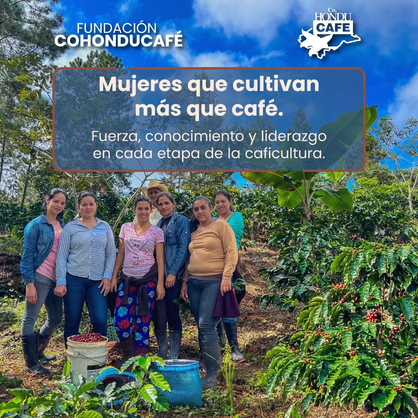 Productores forestales