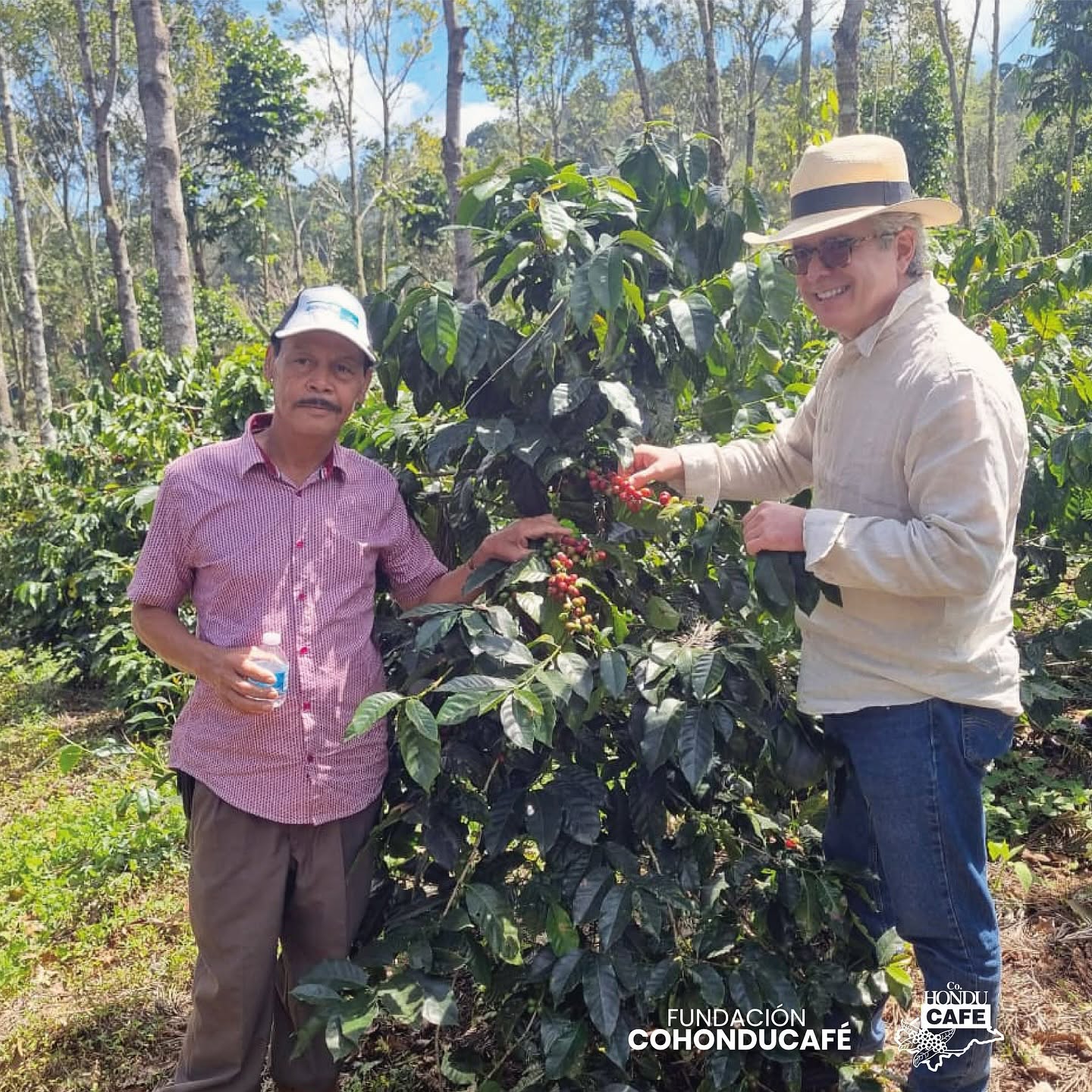 Ecosistemas