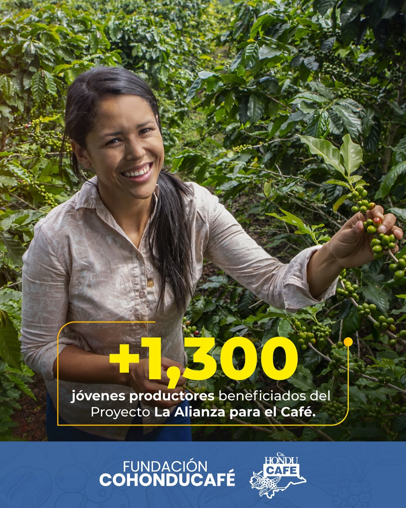 Reforestación