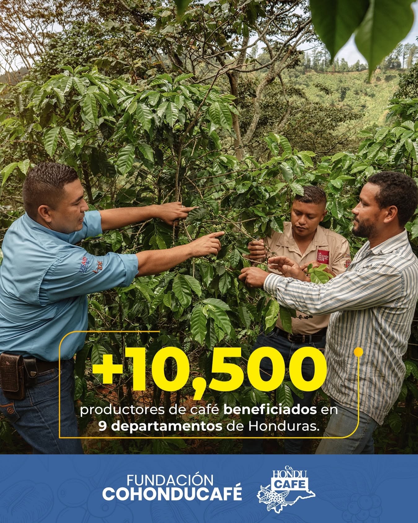 Sostenibilidad